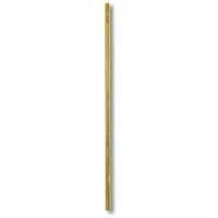 Asta per Fanale 9711