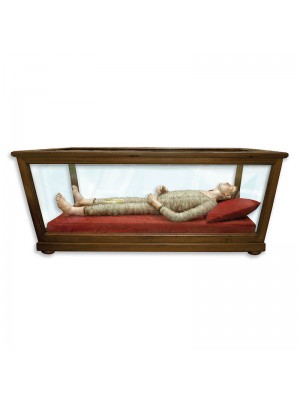 Urns e display case for bodies of Saints or Blessed 7483u